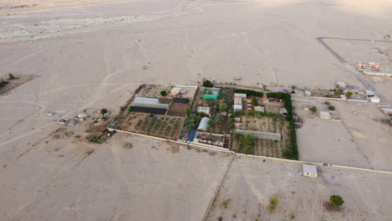 Habiba Community farm in the deserted landscape
